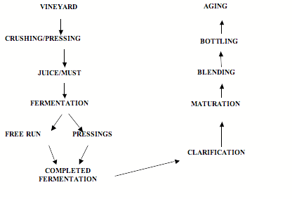 Flow diagram from vine to glass