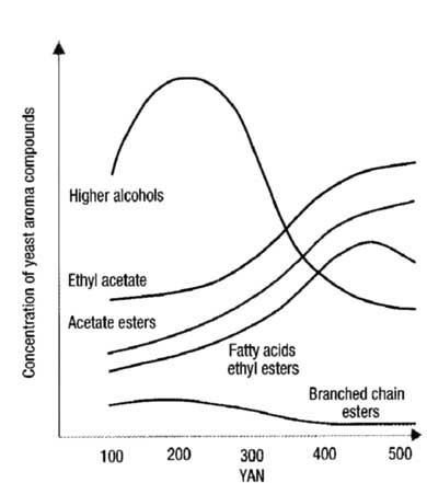 Concentration of yeast aroma compounds vs YAN