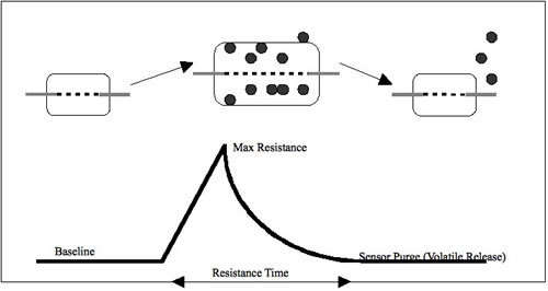 Conducting Polymer Sensor Mechanism