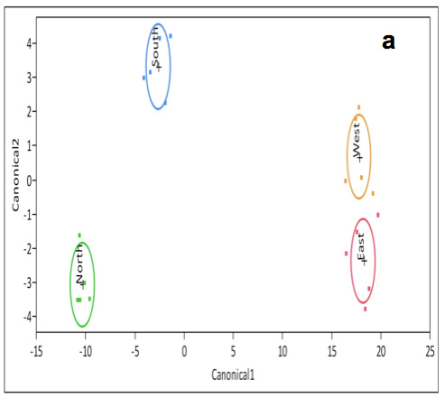 Canonical plots of electronic nose data for Cabernet franc fruit