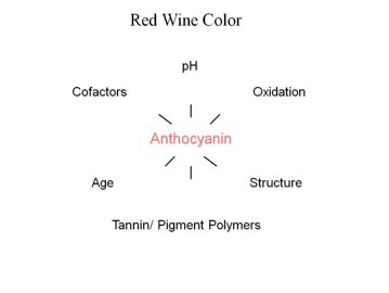 Enology