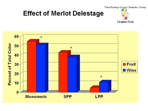 Figure 3 Polymeric pigments in Merlot
