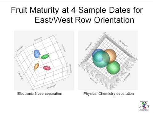 Figure 6 Canonical distribution