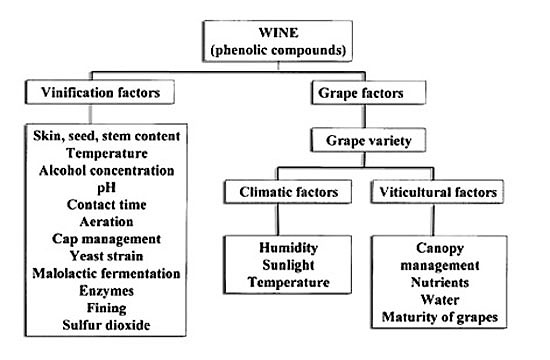 Enology Notes 160 Figure 1