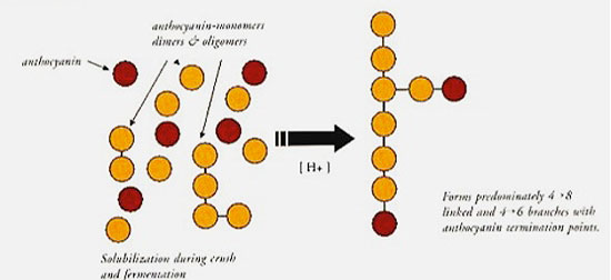 Enology Notes 160 Figure 3