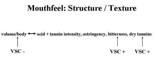 Mouthfeel: Structure/Texture - how volume and body relate to acidity, tannin, astringency, bitterness and dry tannins