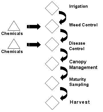 Enology Notes 115 Figure 4