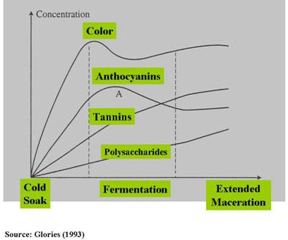 Changes that Occur during Red Winemaking
