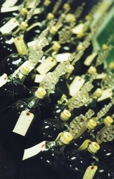 Fermenting Wine in Carboys.  Photo by Bob Whiton.